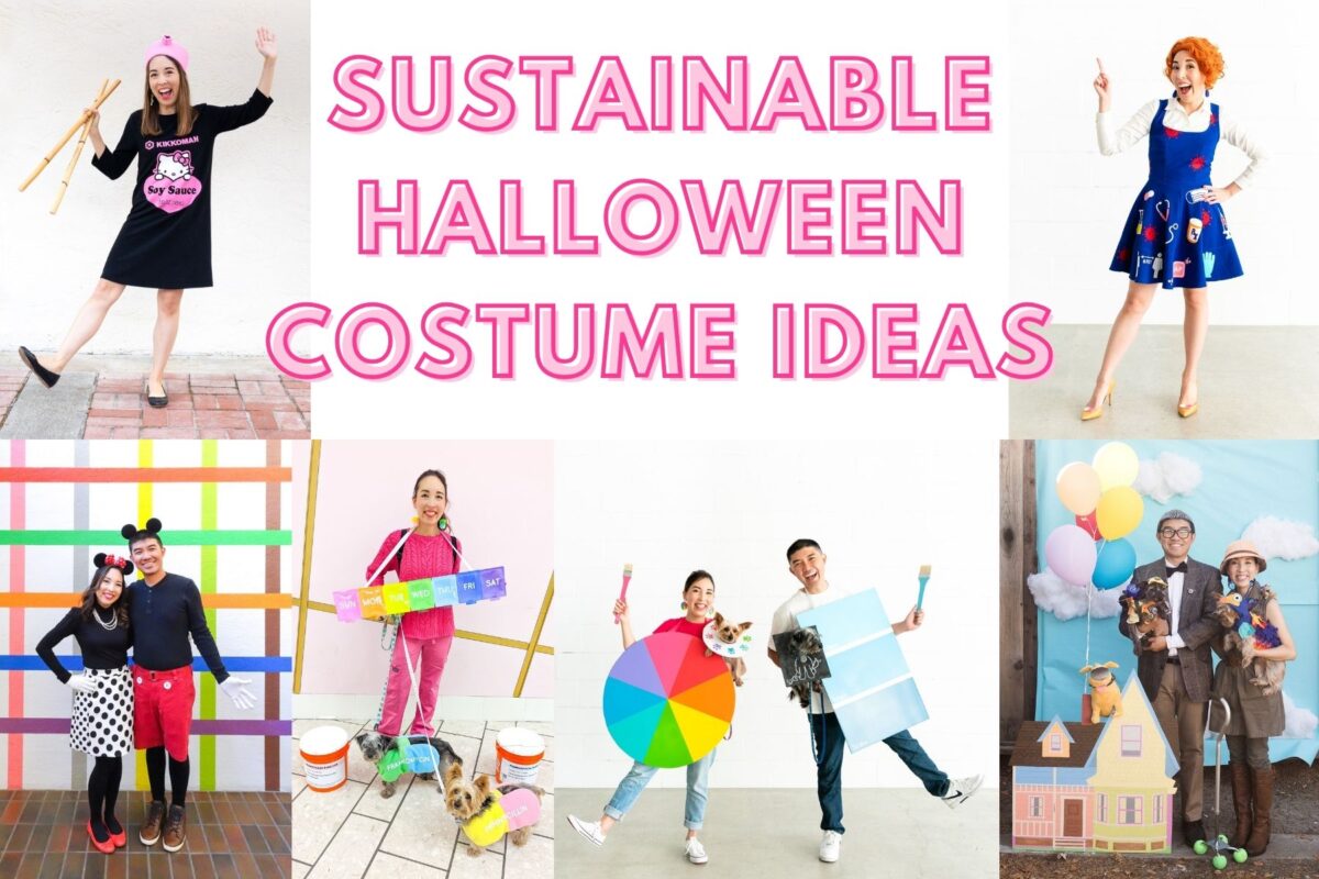 Sustainable Halloween Costume Ideas - Freshly Fuji