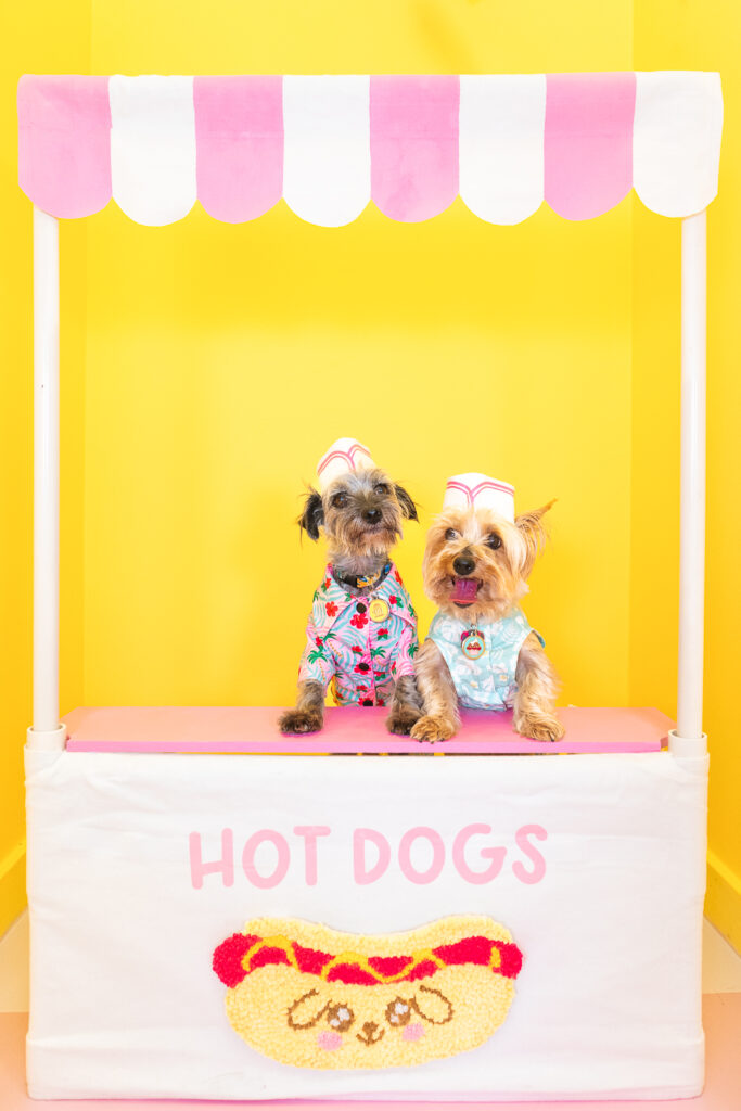 A photo booth room for dogs decorated with a hot dog stand. The hot dog stand is labeled "hot dogs" with a handmade punch needle hot dog and a pink and white striped, scalloped awning. A small grey terrier mix and a tan Yorkie are propped behind the stand wearing Hawaiian print outfits and handmade diner hats. The walls behind them are painted a bright yellow.