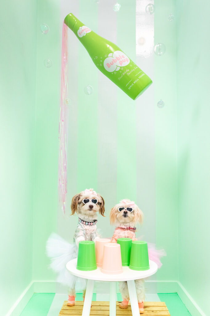 A photo booth for dogs decorated with a soda shop theme. A miniature Aussie mix and and a shih tzu mix are dressed up in tutus and sunglasses. They're standing on their hind legs behind a white table with pink and green plastic cups propped upside down. The room they're in is painted light mint green with white stripes. Above them is a giant lime green inflatable soda bottle labeled "Bubble Pup" with iridescent streamers pouring out to look like liquid. There are also iridescent bubbles floating in the room.