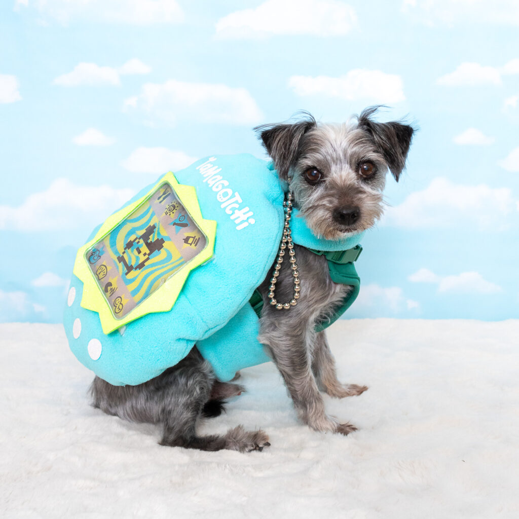 A small, gray Yorkie mix is wearing a light blue Tamagotchi dog costume. He's sitting on white faux fur. Behind him is a background that looks like a blue sky.